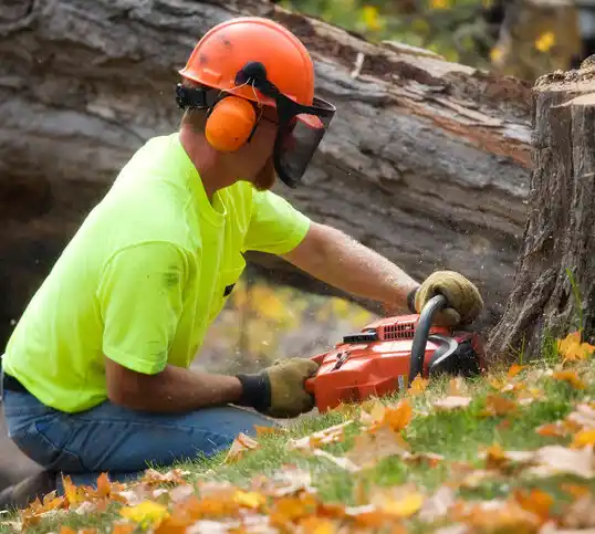 tree services West Chatham